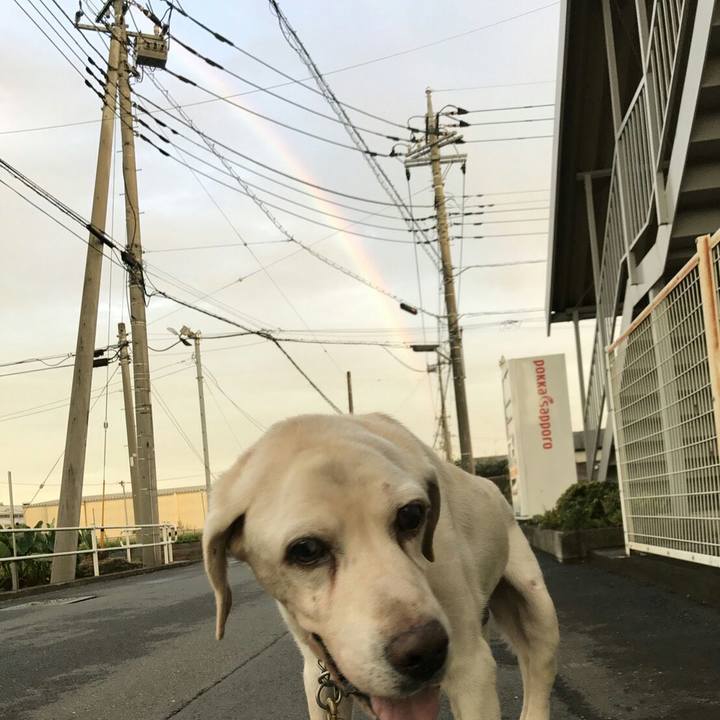 E43ec47f 3b21 40a7 9bfc 0eaf8b6a3f09