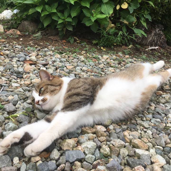 E43ed13f 32a9 4c91 a787 82053f6f8c45