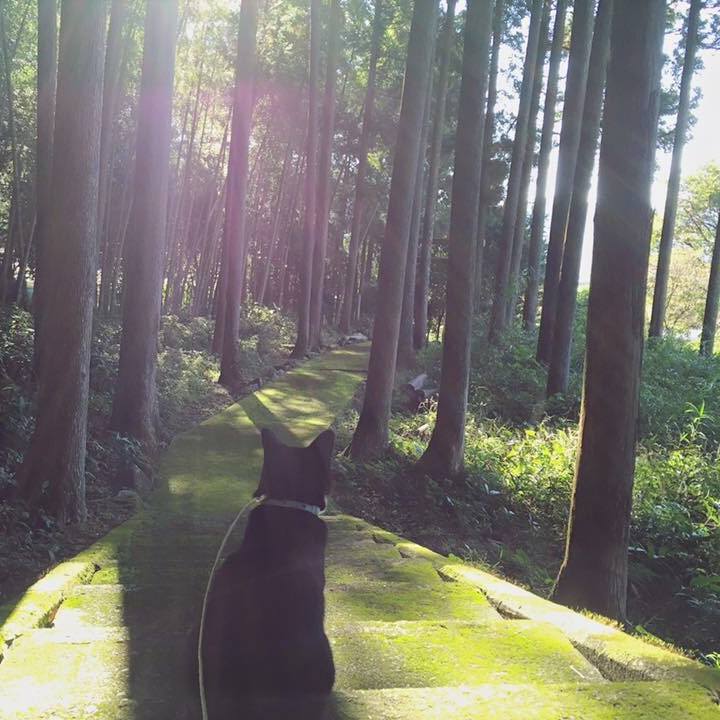 E43ee6ca 1e15 4d93 80a8 28ec054b56f1