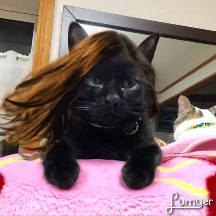 E43f2ed8 d335 4058 84d6 f87b503d26d7