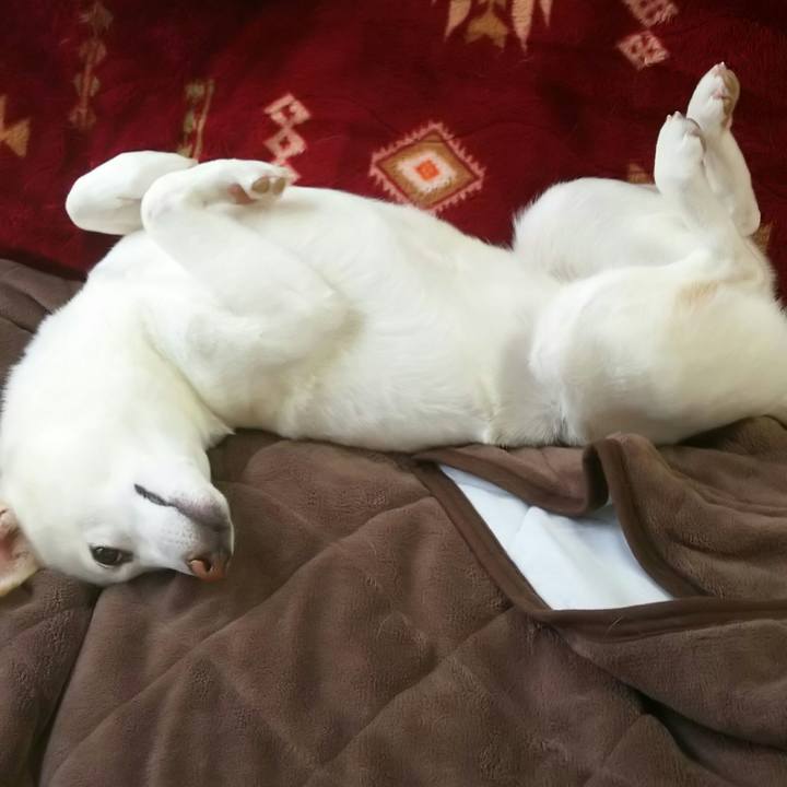 E43f46d9 e651 4024 ac68 556da34a1035