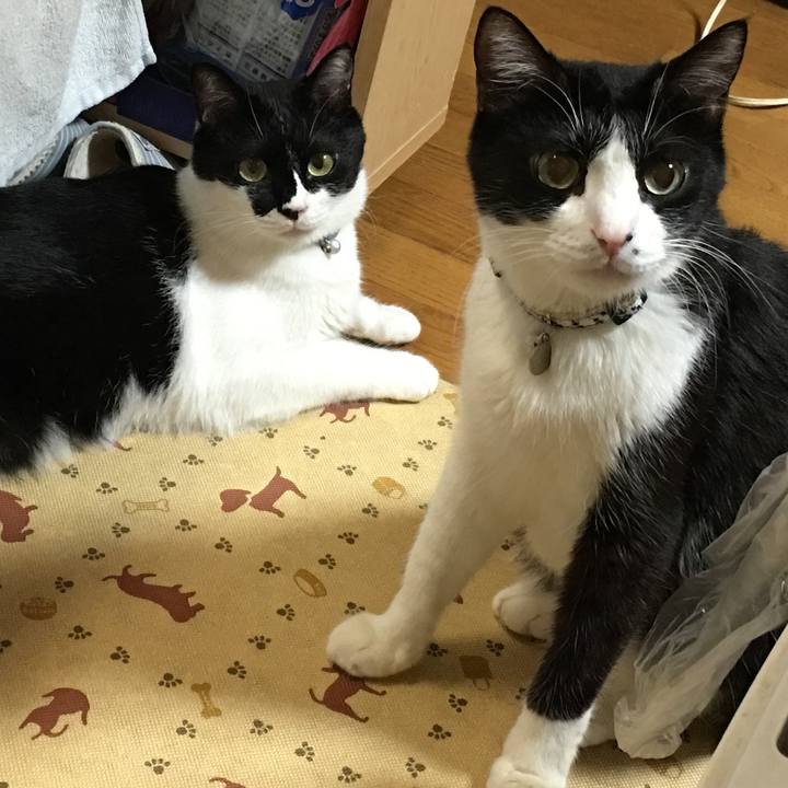 E43f8465 992d 411b 8232 9b03d9f0234a