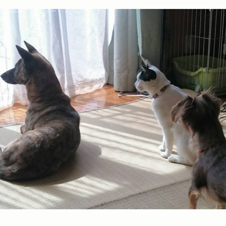 E43fe554 451b 4769 9f5a bc20f231b8b5