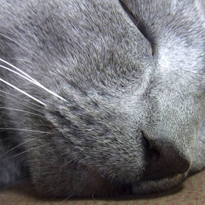 E43fe6a9 cc24 4548 aee5 4df35e0efcfd