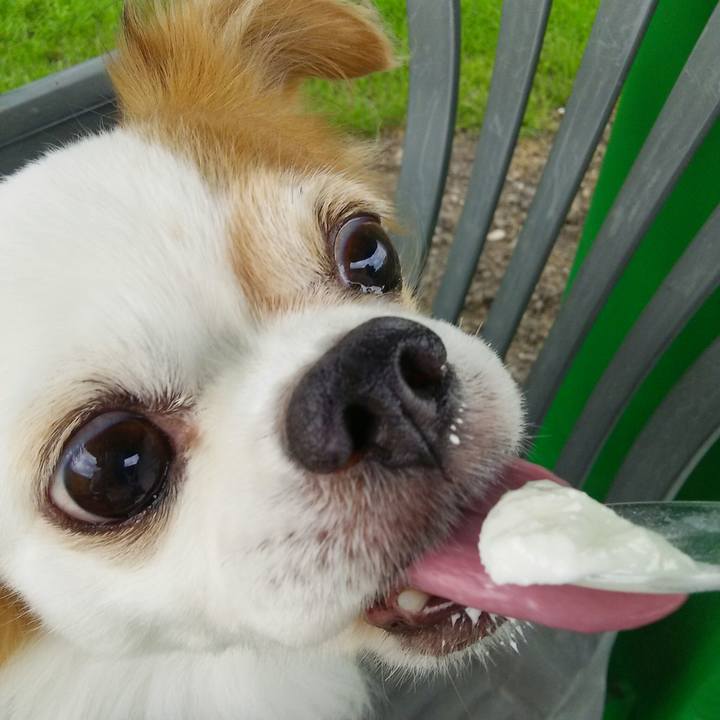 E440da8a b167 431a b018 81d2a468e9ff