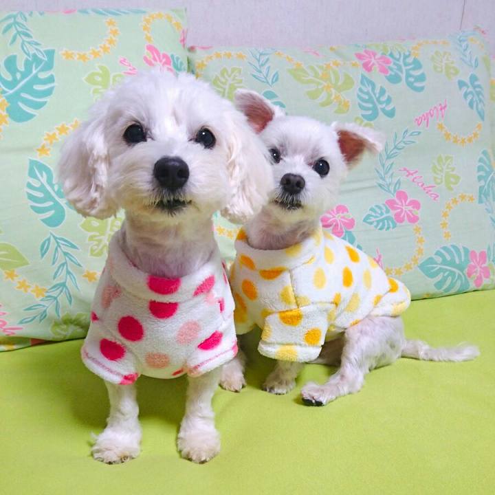 E440ed78 a63e 4ee5 bb26 4bdef78ba997