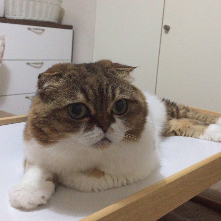 E4412e73 8df4 4d2b aede c3cf267f4f16