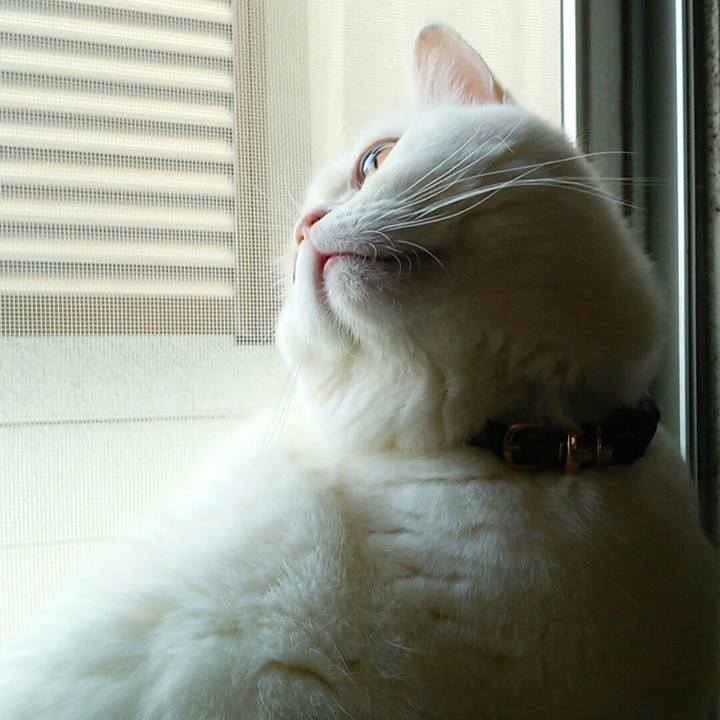 E4416f1e 5c99 4fbe 9b94 ade6f65dffe7