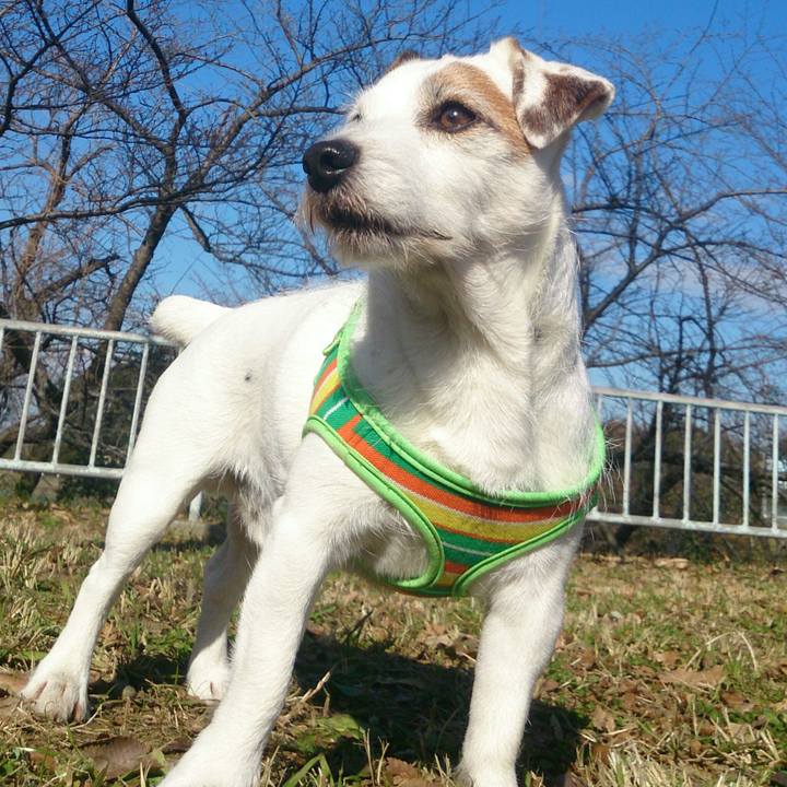 E4418dfd 080b 4561 b906 90827c4cbc00