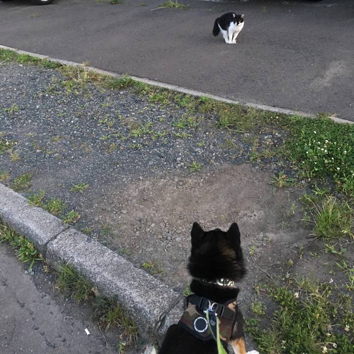 E4427a16 a500 4970 8da9 9efb412d9839