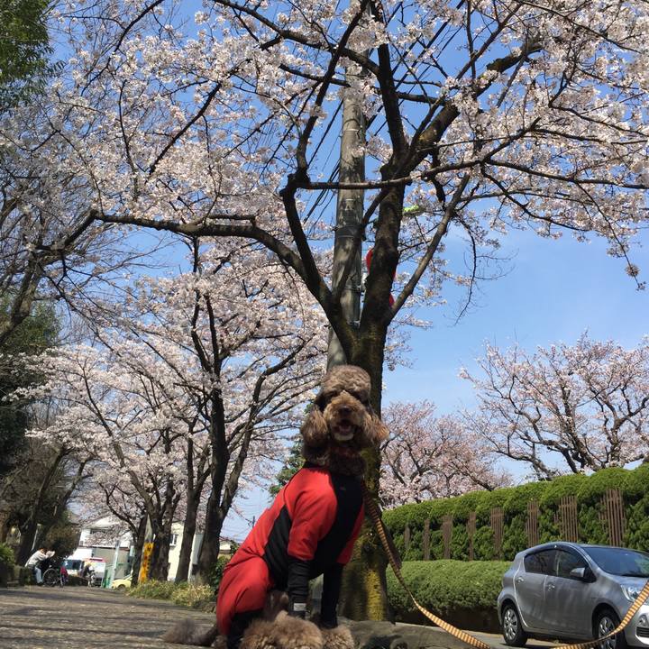 E44282a0 daef 44ef b625 e9c916195a6a