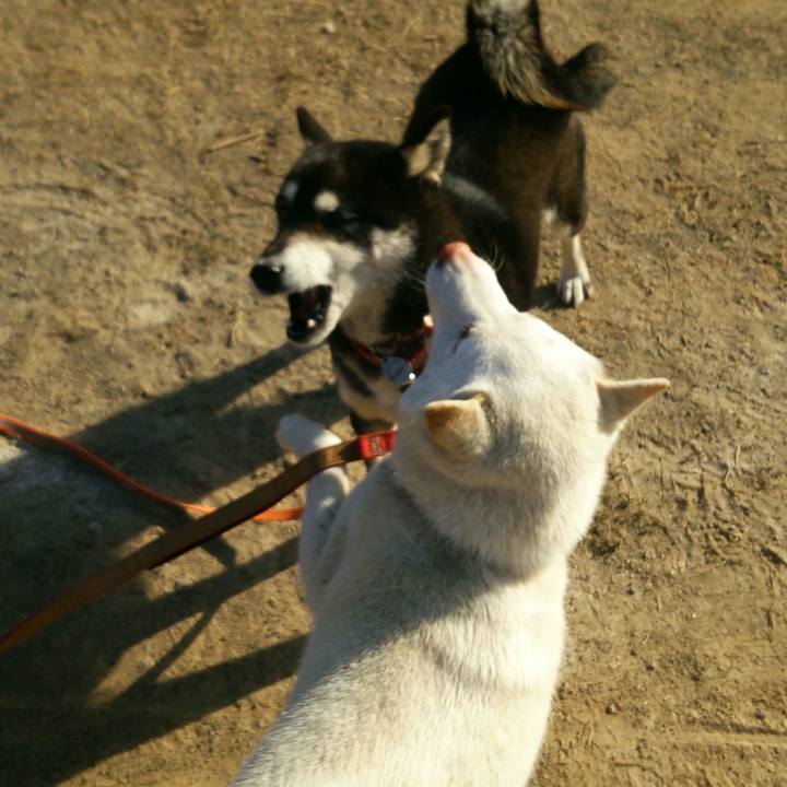 E4430297 17f9 4c92 93b8 84b1f7986561