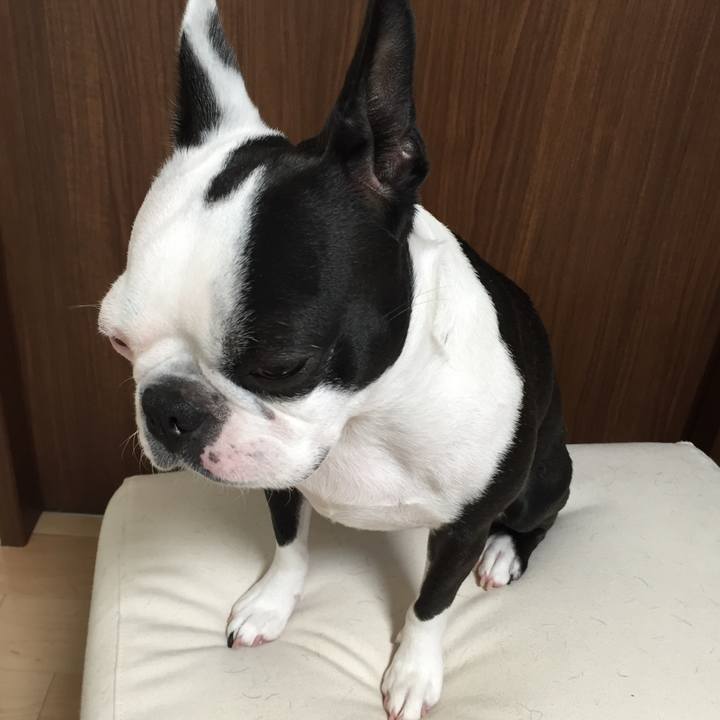 E4432a05 b925 47f7 a793 2f4eccc9644b