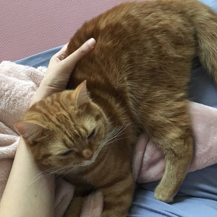 E4434e34 0e9b 467e b737 fe041fd1d8df