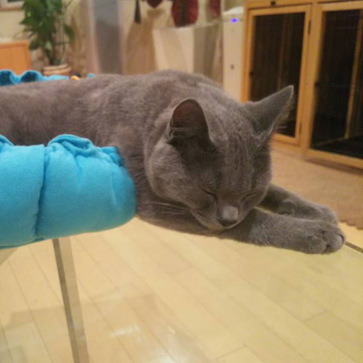 E4437b5c 814b 45b5 8952 830cd51b82ea