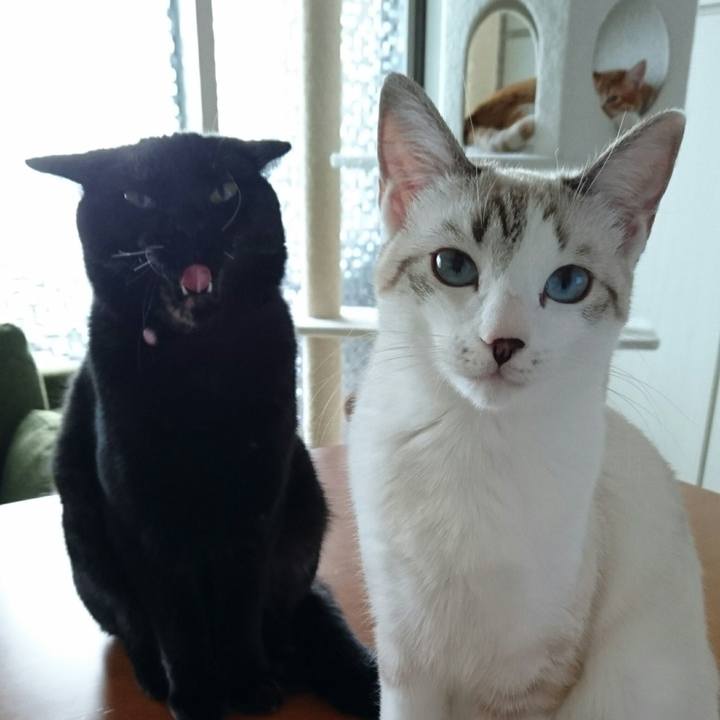 E4437c6e 7aaa 46c1 a917 853aa64d5c3d