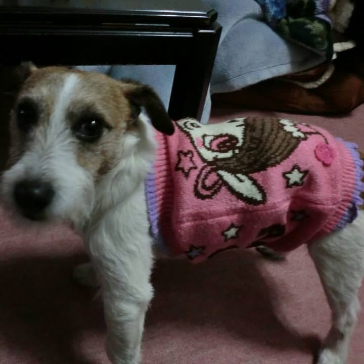 E4438a34 62fc 46f2 a2b9 e8c648f3adb9