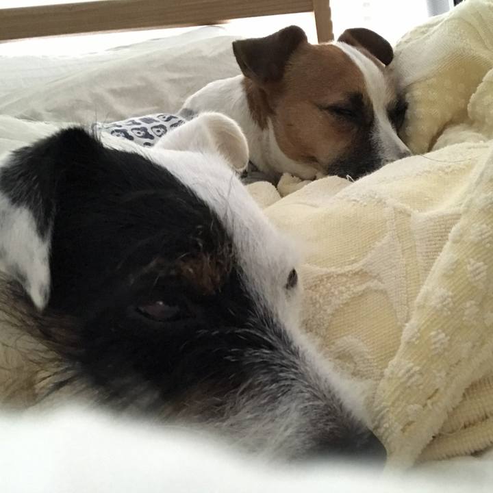 E44474ec 8b08 4118 aaea 8e3b950392e3