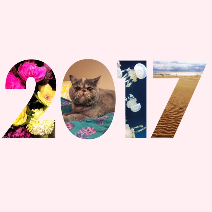 E444db64 566c 437c 8655 78a6021167c9