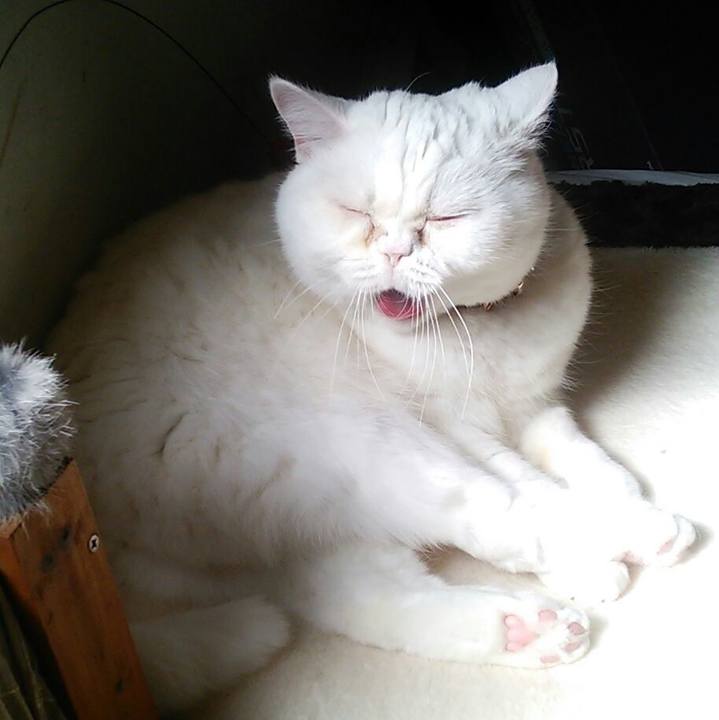 E445cef2 cd24 41c8 a26e adeea7c9310b