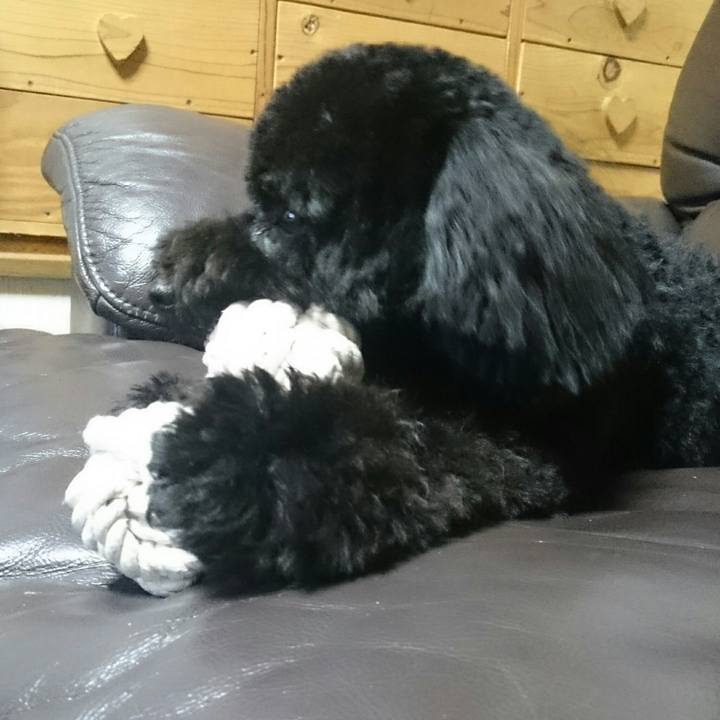 E4463735 3ece 4088 9ba4 d632a0c0e52a