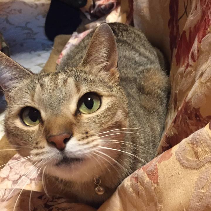 E4467488 1593 41ab ab1c 9c28e1fc4318