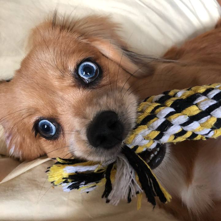 E4469023 2512 4bee a1c1 714fa1cbfa08