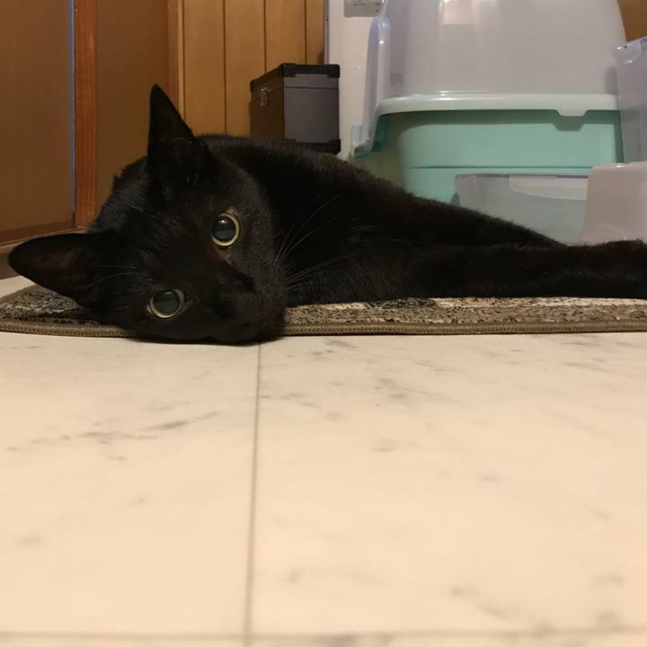 E44696df eb00 4599 ae38 403e375f49ee