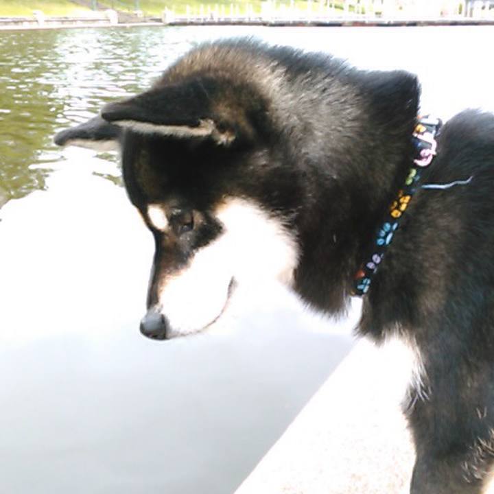 E446fb9c f58c 4590 8522 8343dec729db