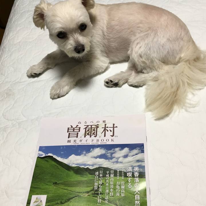 E447b7b4 bfaf 43e6 a65d 90ce565d25d7