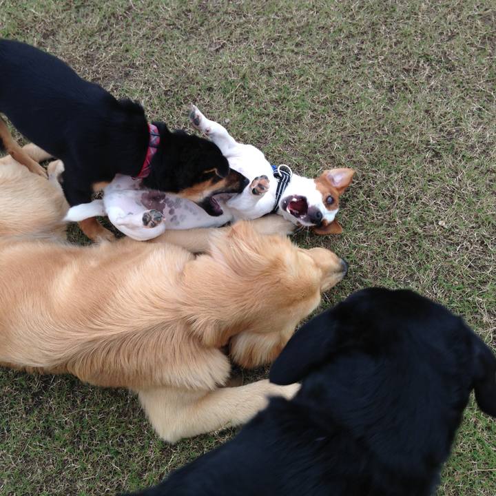 E447d02c 5785 4e97 bb69 b93a978787b8