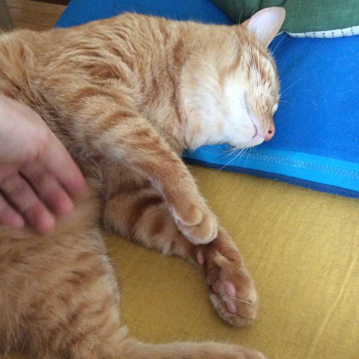 E4487980 c109 4240 b50d ba182f9799dd