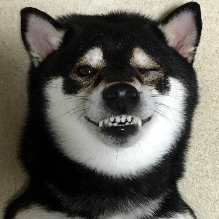 E448c4cd d832 483f a104 218029ea6153