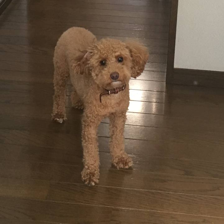 E448c768 e321 4481 a05b 5a7c9021a1f8