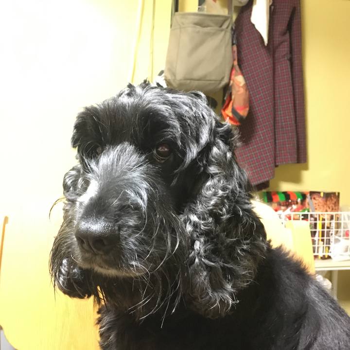 E448cbf4 a70a 4cc1 b351 605e9390939c