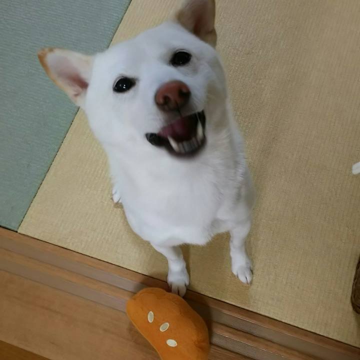 E4493716 7545 44a1 a766 14f4e6f968c5