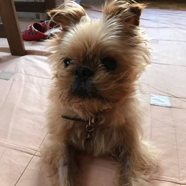 E44b830f 341e 49bc 886a b8b948e889a3