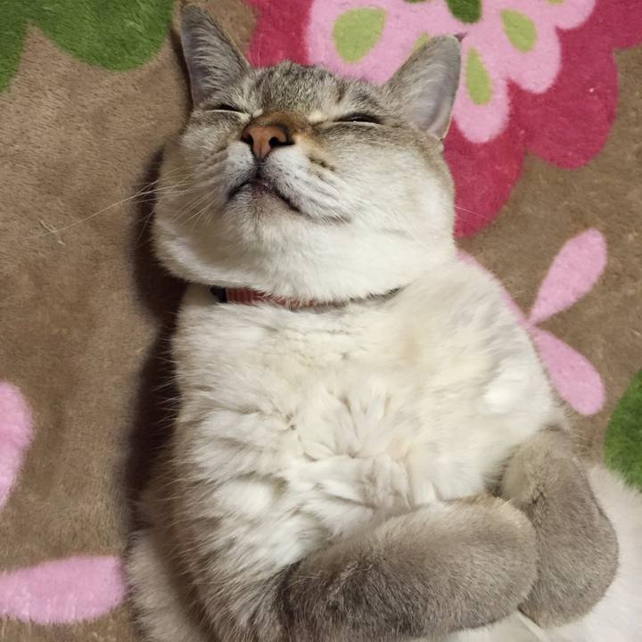 E44b8e48 48e9 4ccc a630 db259330b6c3