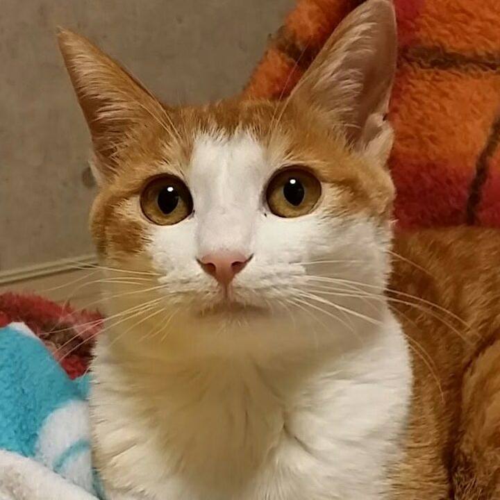 E44b92b8 3c8d 469d 8ea5 c7215ce32392