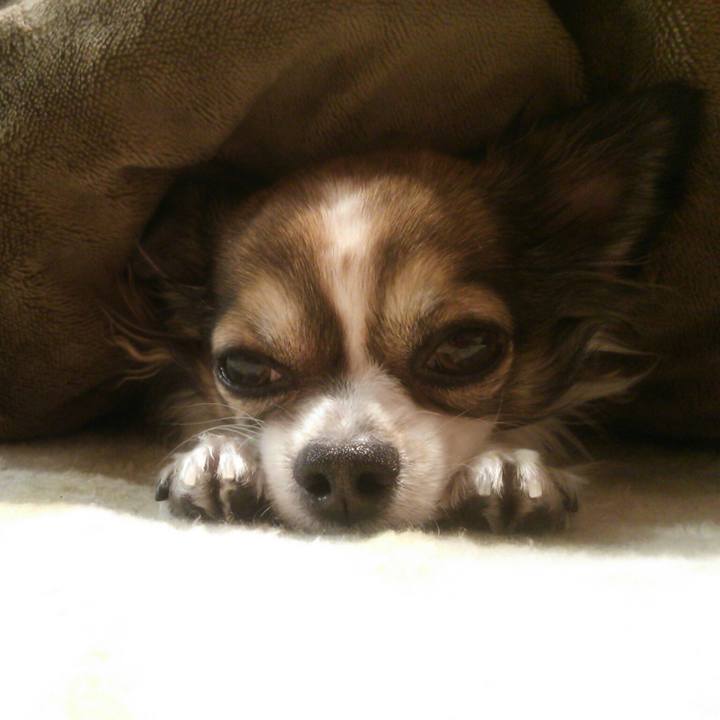 E44c43a6 36ce 4302 9a23 57571d21ddc1