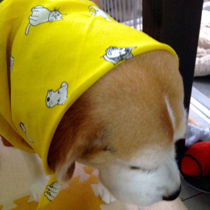 E44c9973 65af 4af9 911c 61d5b8cb32ef