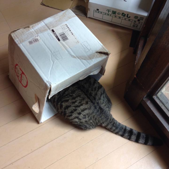 E44cc93f a299 45de a7cd fd80e6c5ea36