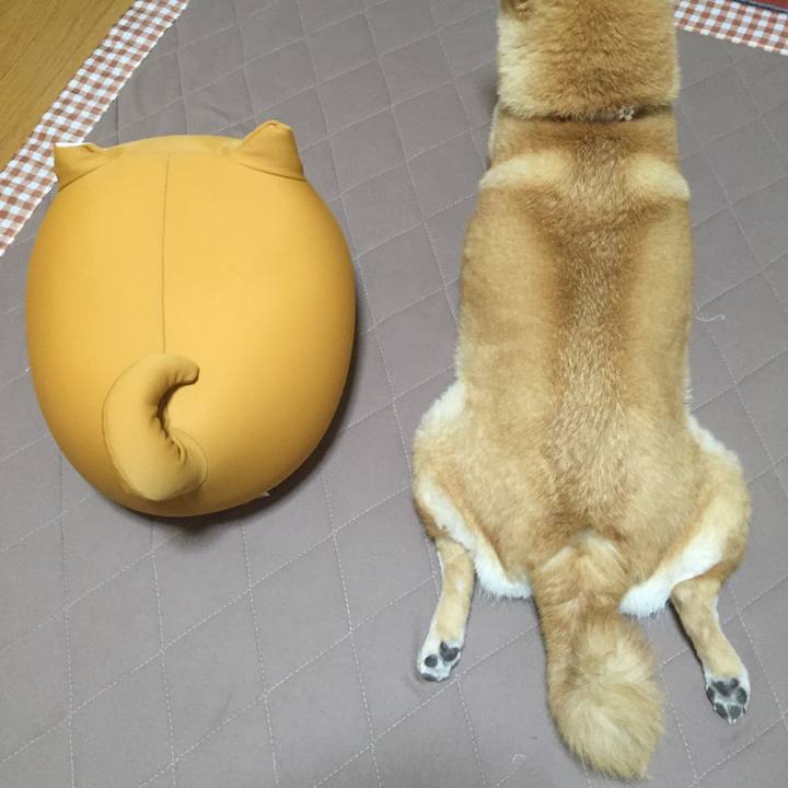 E44d32f0 c024 4e60 80ab 91a1bb6c364d