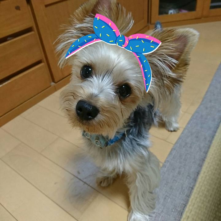 E44d7ef7 afdc 43d4 8156 08c1960cbb91