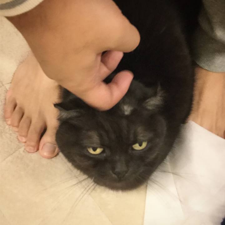 E44e3c8c 9049 4d96 9a4e 20712d20c7b2