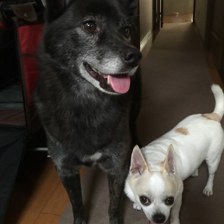 E44e94da f1e1 4c2c 8c9f c893590a955c