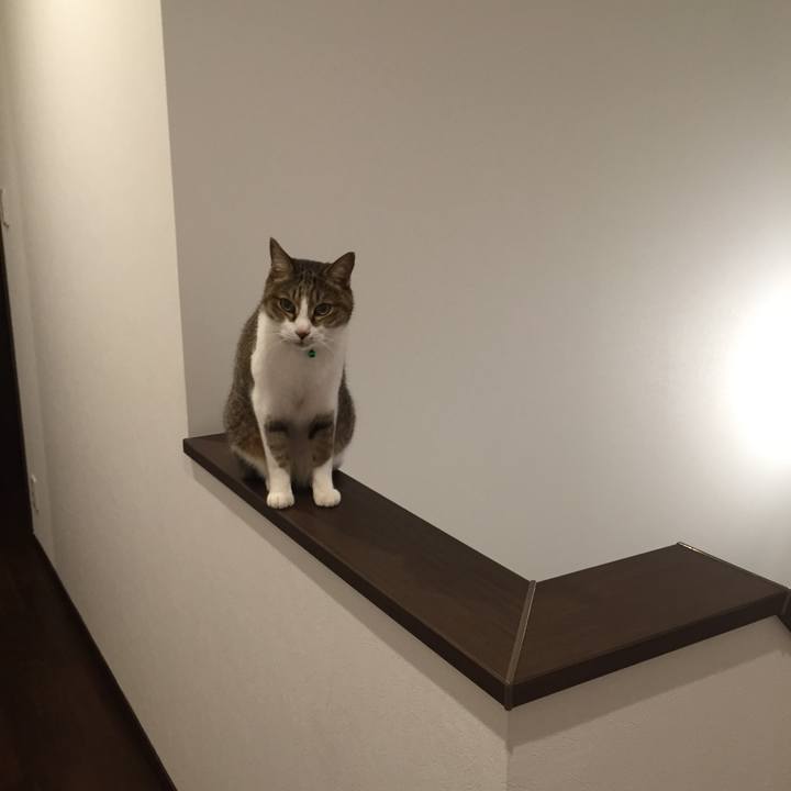 E44f0dae 246b 4d24 83af 5ee809b617d6