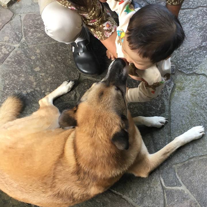 E4515004 e4f9 4269 8e47 e196d64443ca