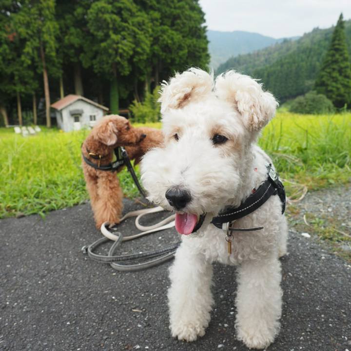 E4517ae9 8e70 48c1 98de bf36b81e4040