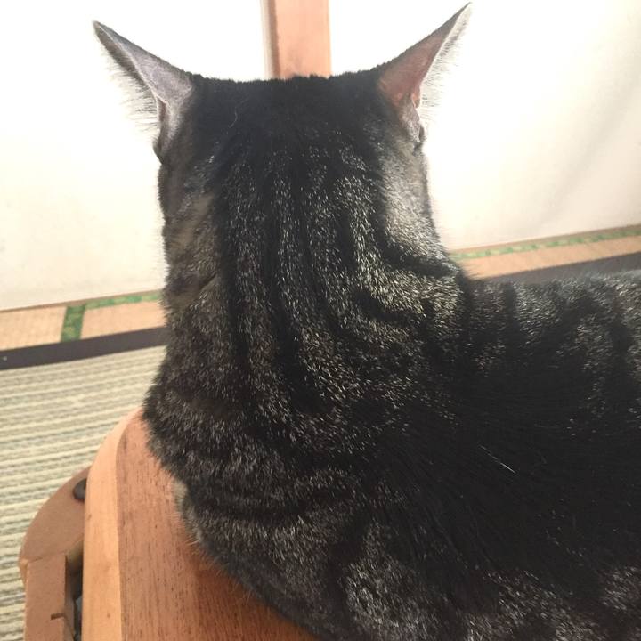 E4518185 feef 4ba3 98a9 5f3efad18f38